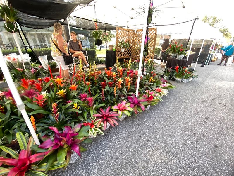 Mount Dora Marketplace District