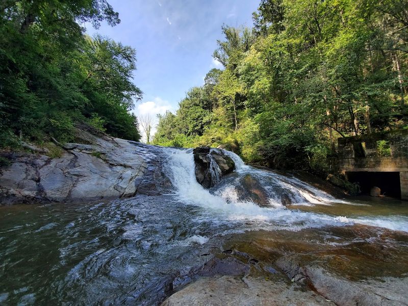 Green River Game Lands, Henderson County
