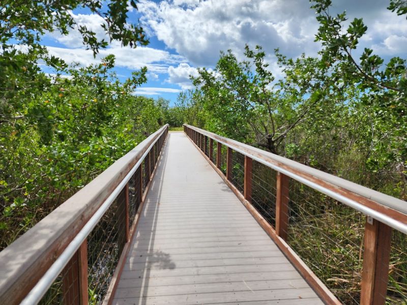 Ten Thousand Islands Trails (Everglades)