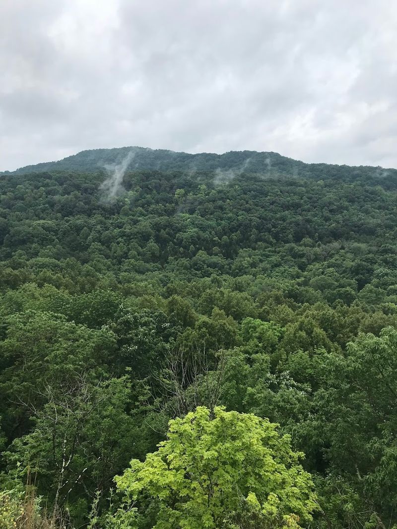 Buzzardroost Rock Trail 