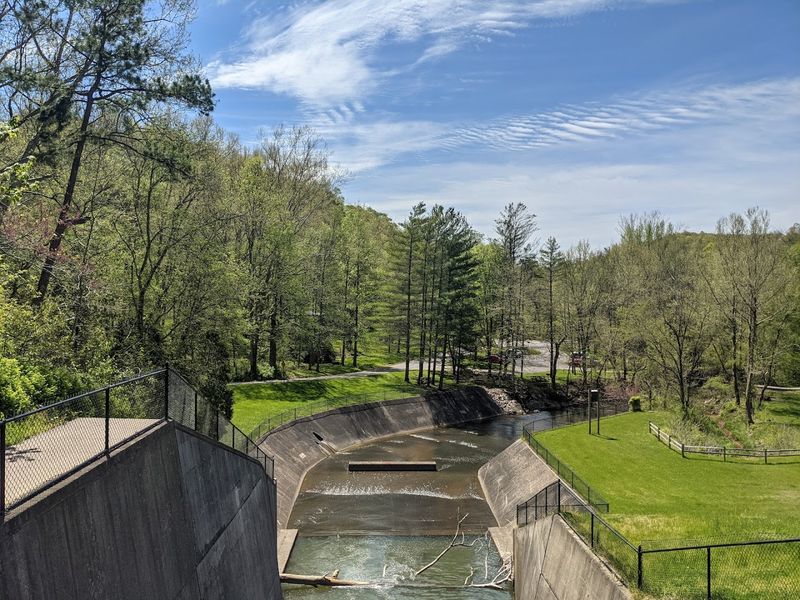 The Quiet Beauty Of The Waterways