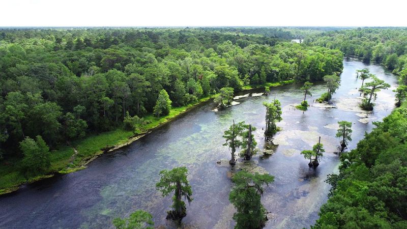 Wakulla Springs State Park, Wakulla County
