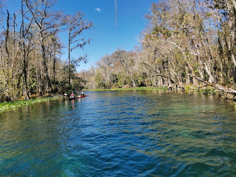 Silver River (Silver Springs)