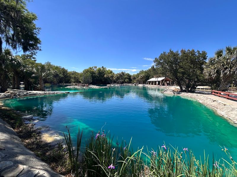 Devil's Den Prehistoric Spring - Williston, Levy County