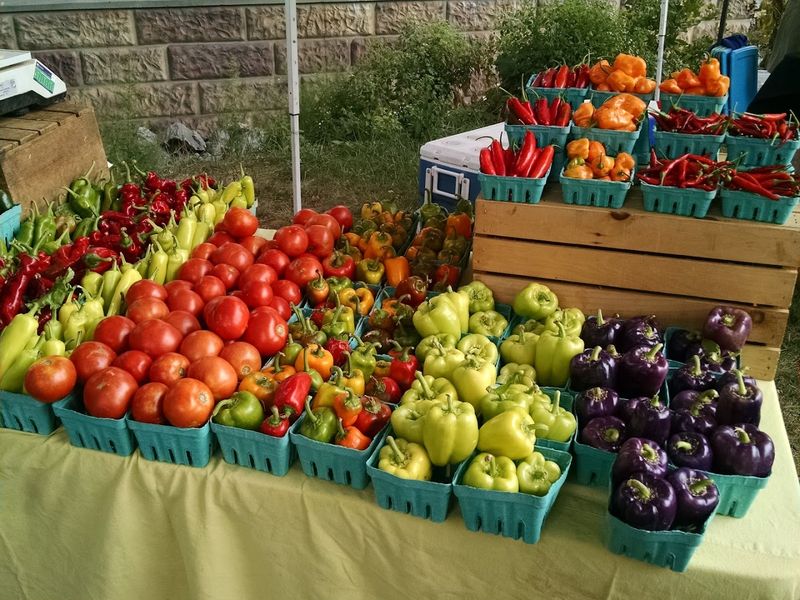 Phoenixville Farmers Market