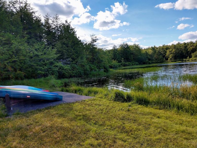 Ricketts Glen State Park (Benton)