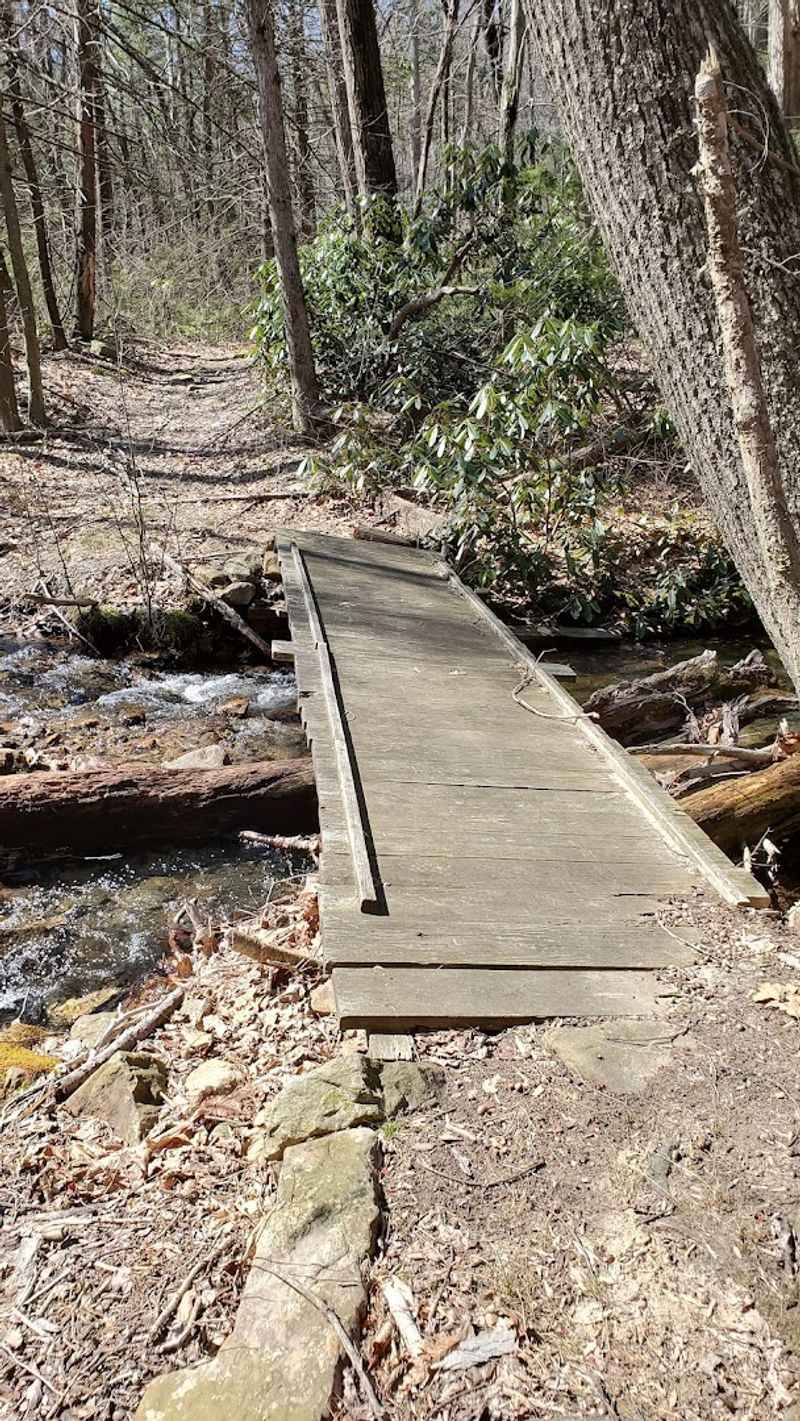 Tuscarora State Forest