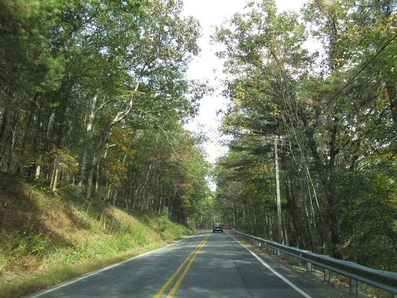 Elk Scenic Drive Around Benezette