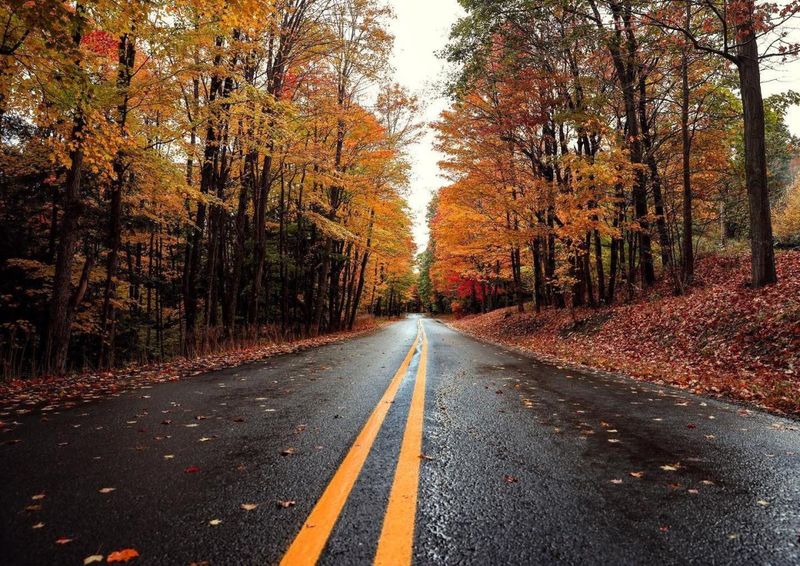 Route 381, Laurel Highlands