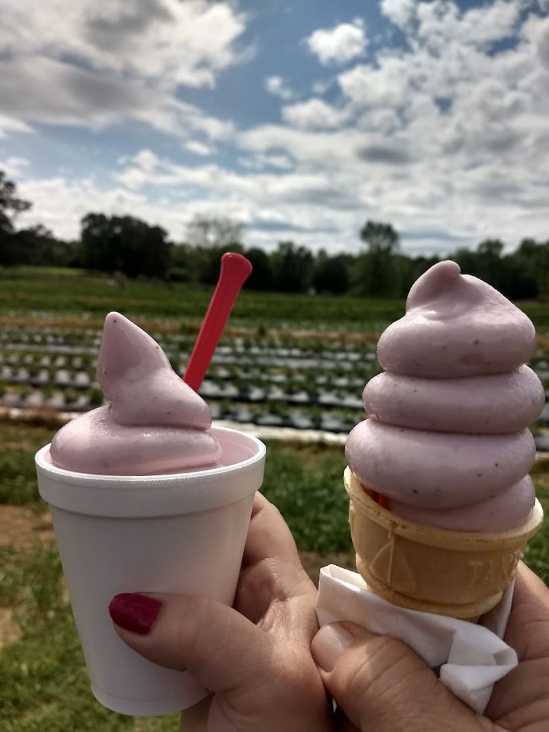 Creamy Strawberry Ice Cream Made Fresh on the Farm