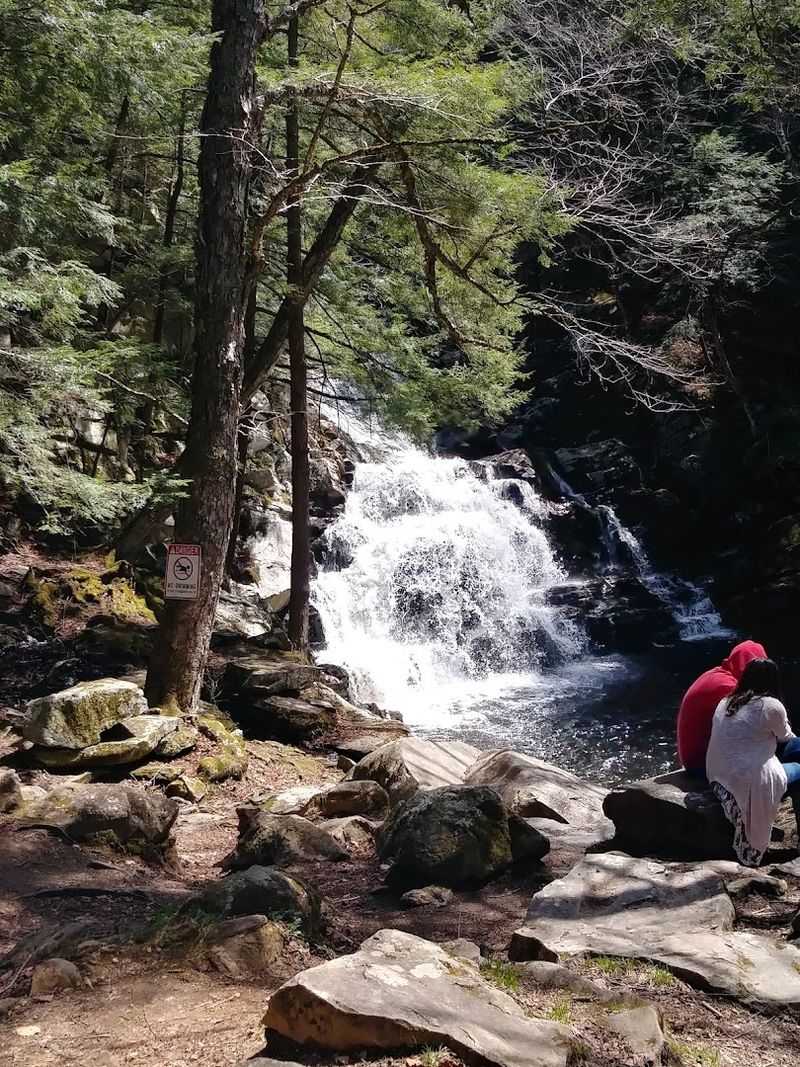 Wahconah Falls Trail