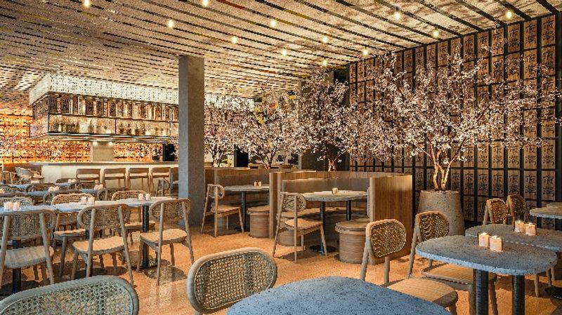Paperfish Sushi - Miami Beach