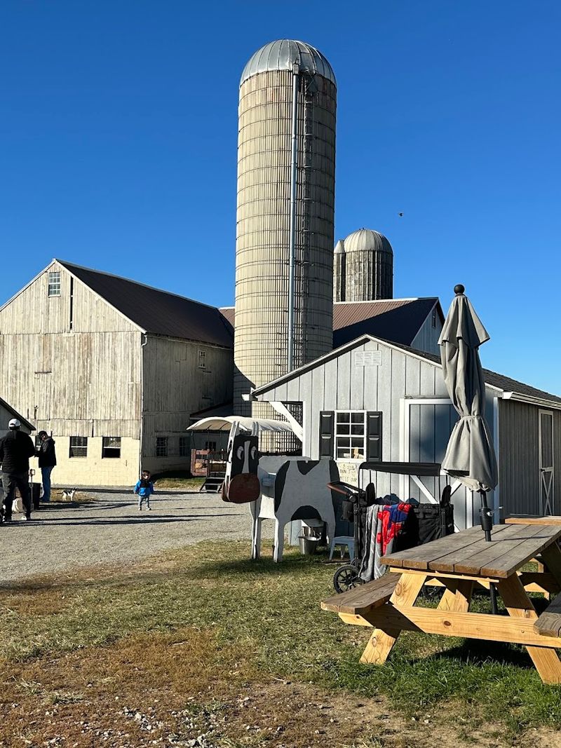 Old Windmill Farm