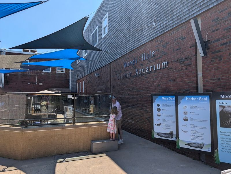 Woods Hole Science Aquarium