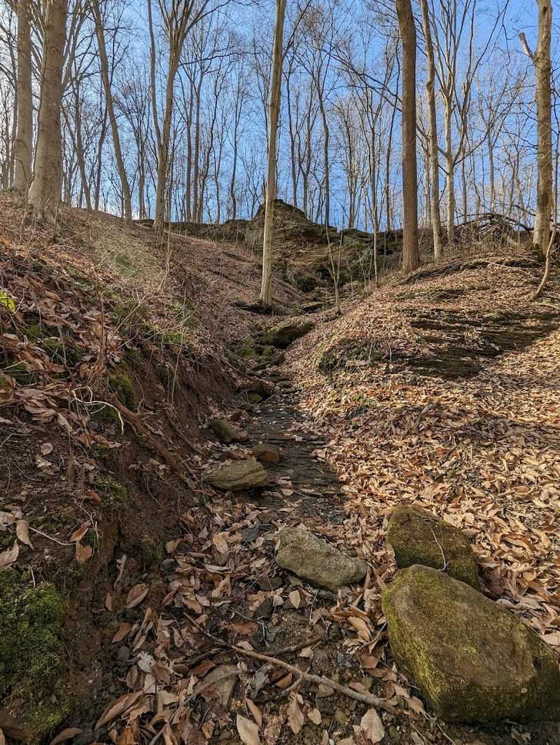 Miles of Unplugged Hiking Trails