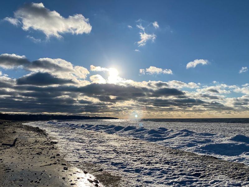 Swimming and Shore Conditions