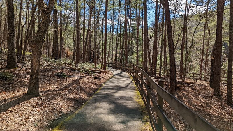 Peaceful Woodland Trails