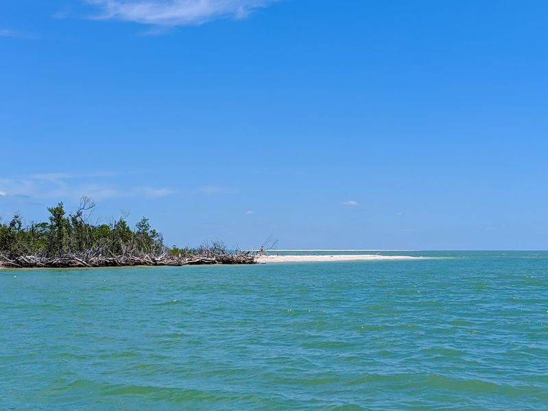 Ten Thousand Islands (Everglades National Park)