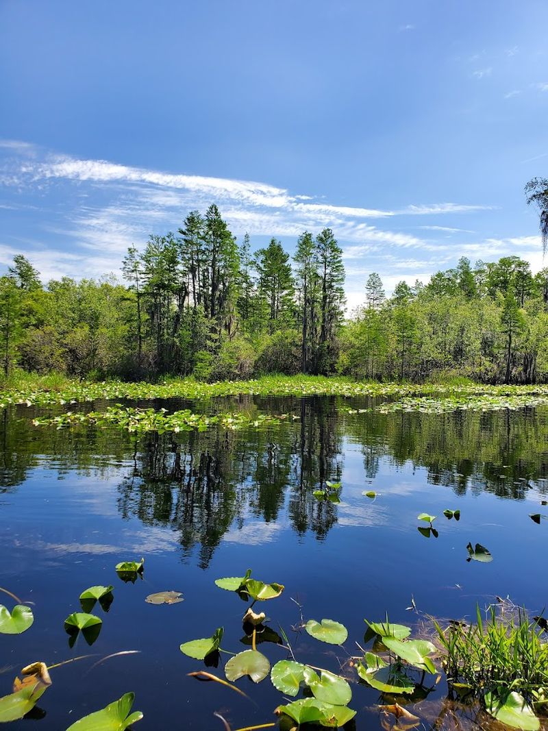 Stephen C. Foster State Park