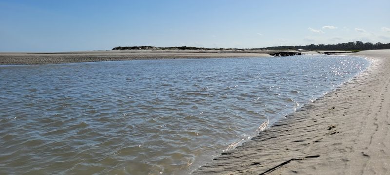 Ossabaw Island