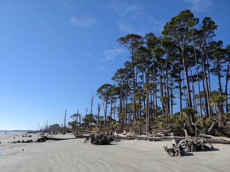 Hunting Island Beach, Beaufort County