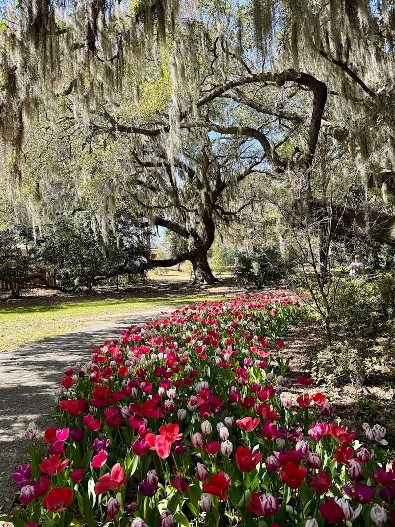 Airlie Gardens (Wilmington)