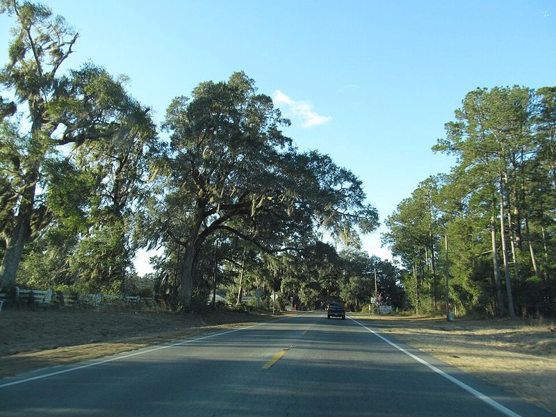 Georgia Coastal Highway 17 Drive