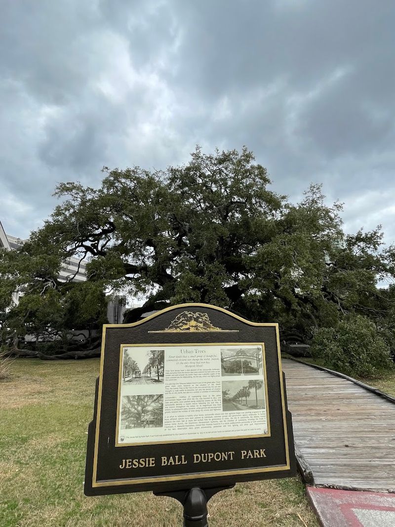 A Park With A Surprisingly Wild Past