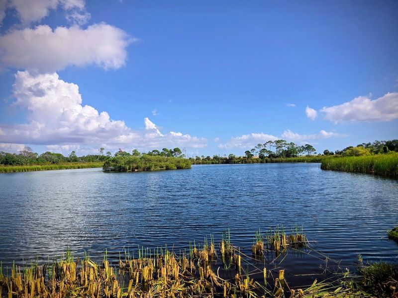 Gator Lake