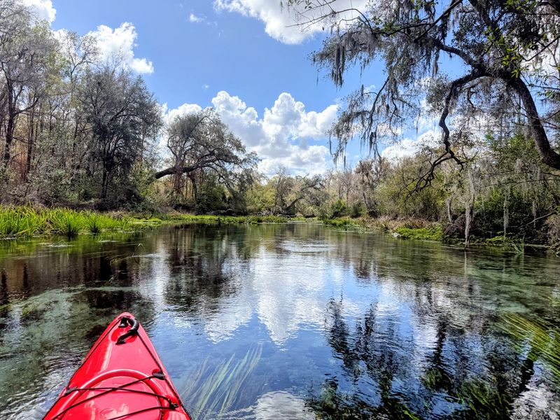 Kayaking and Canoeing Adventures