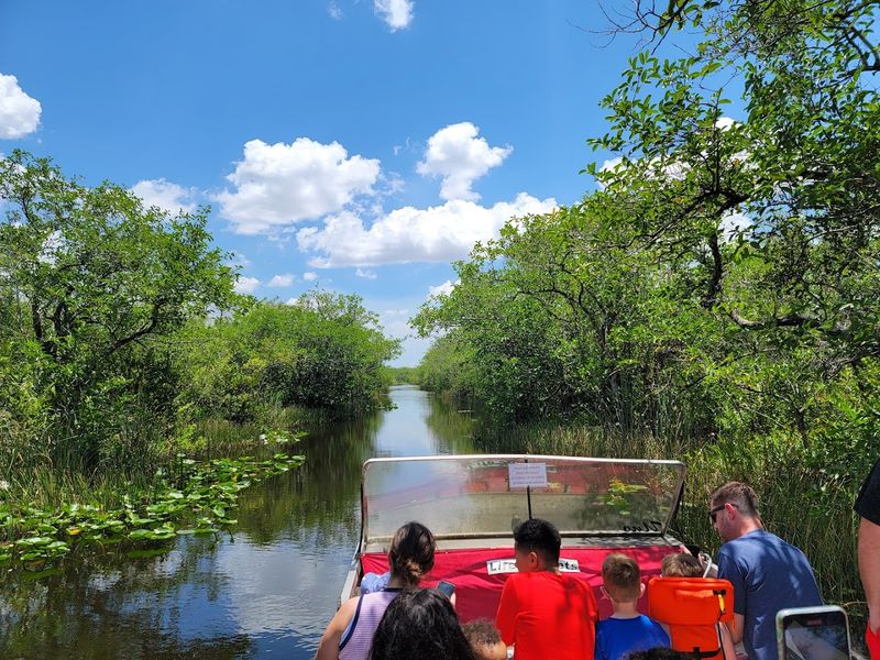Gator Lake and Wildlife Viewing Opportunities