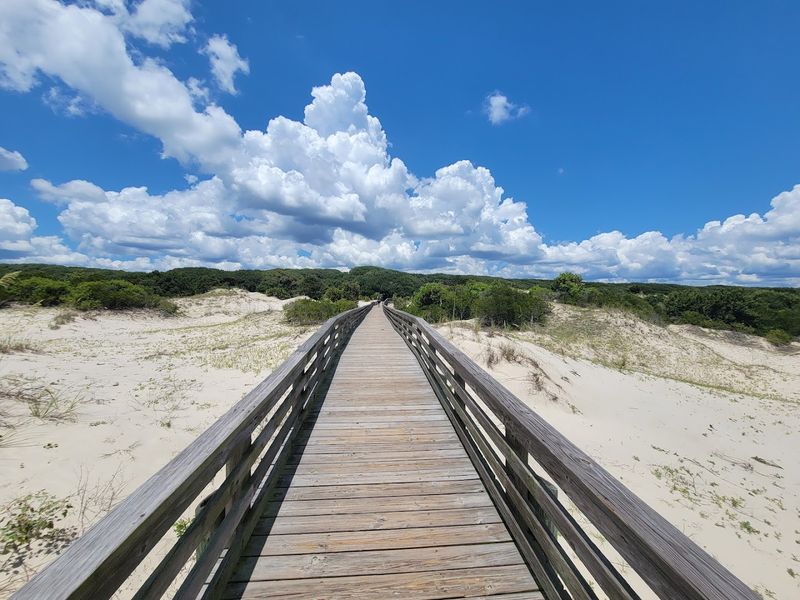 Cumberland Island