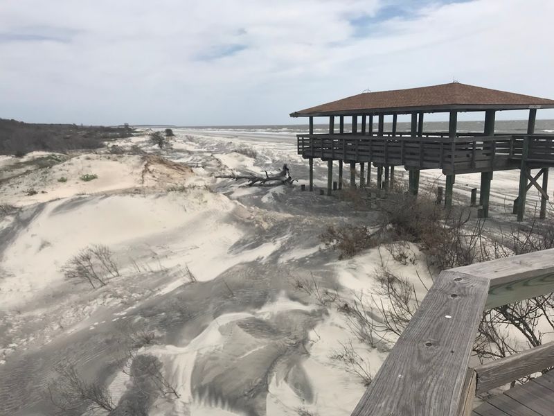 Sapelo Island