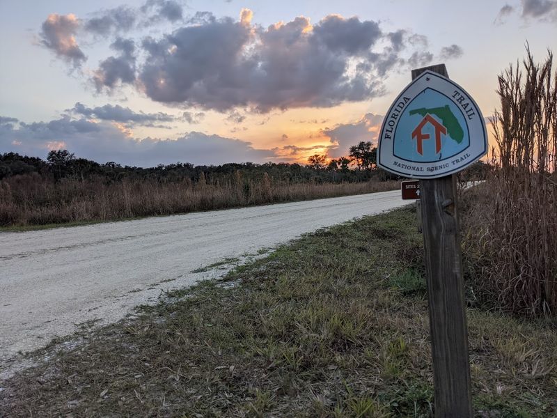Kissimmee Prairie Preserve State Park (33104 NW 192nd Ave, Okeechobee, FL)