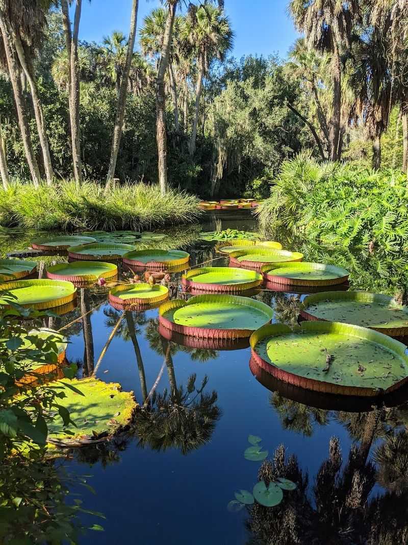 Bok Tower Gardens