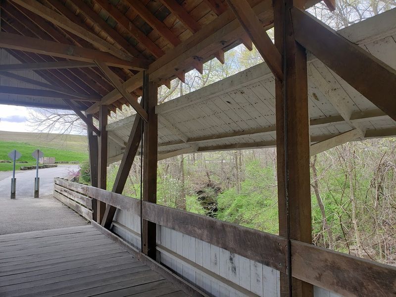 Visitor Info