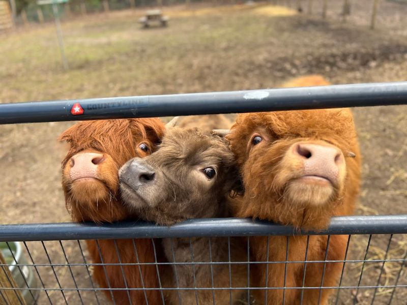 You Leave With More Than Cute Photos