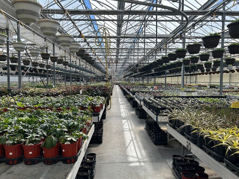 Black Creek Greenhouses (East Earl)