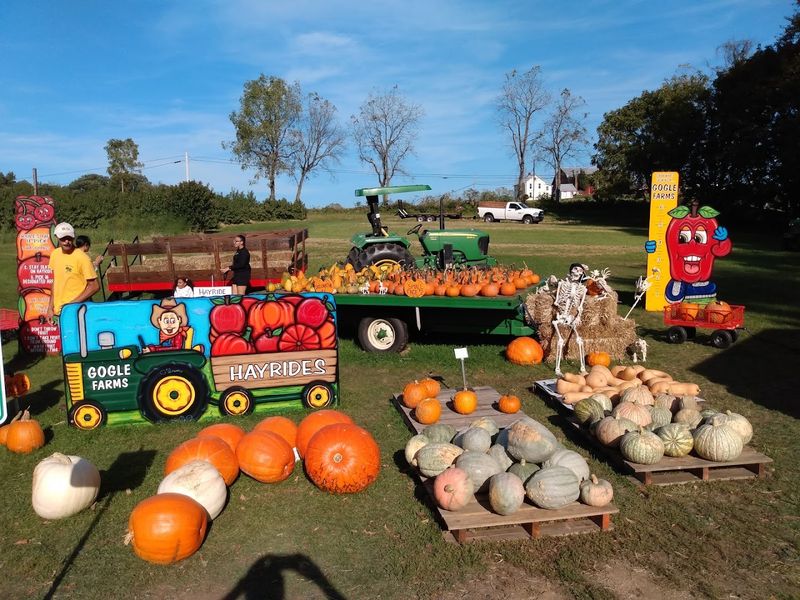 Gogle Farms