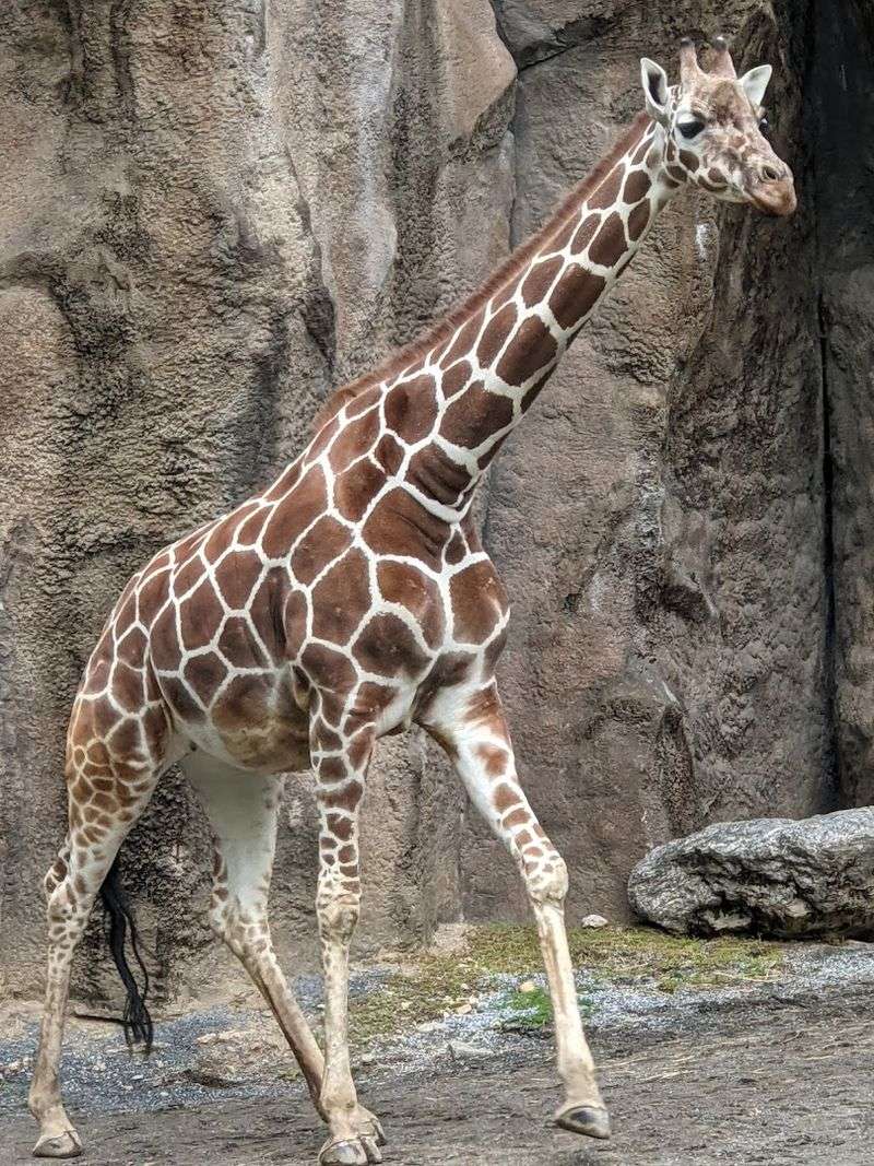 Philadelphia Zoo (Philadelphia)