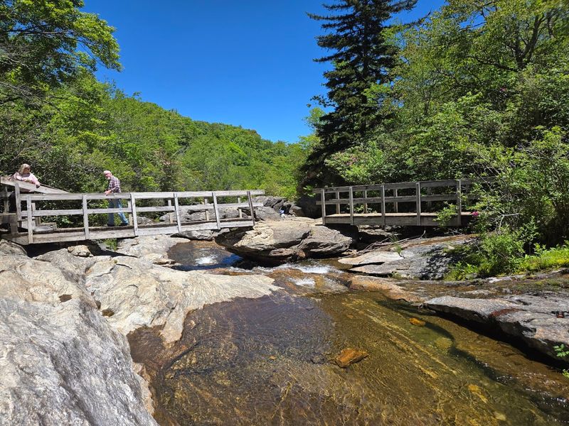 Graveyard Fields