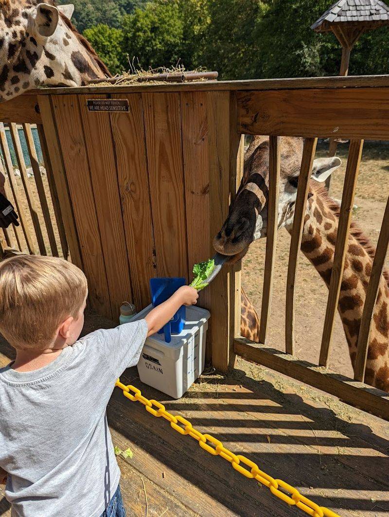 Interactive Animal Experiences Add More Fun