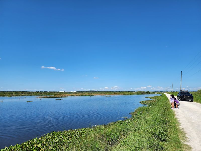 Lake Apopka Wildlife Drive (Central Florida)