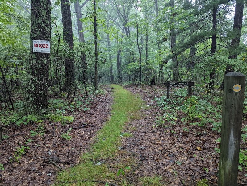 Christmas Rocks Trail