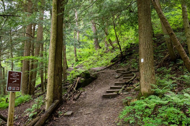 Mohican State Park &mdash; Best Forest Hiking Escape