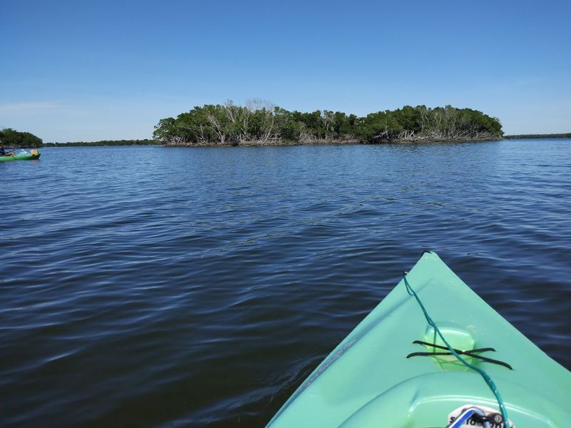 Ten Thousand Islands