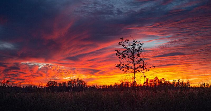 St. Marks National Wildlife Refuge (St. Marks)
