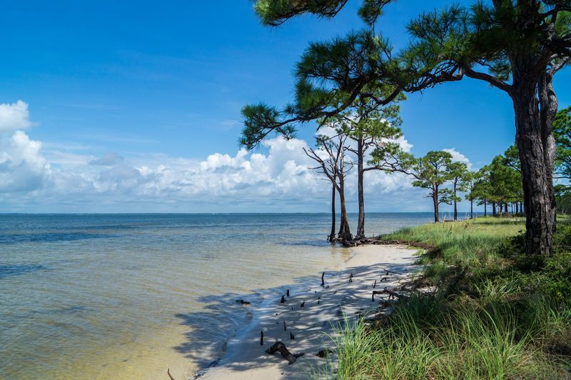 St. George Island State Park (Florida Panhandle)