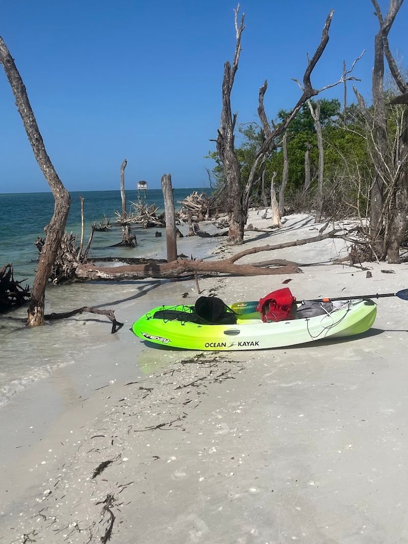 Kayaking Through Calm Coastal Waters