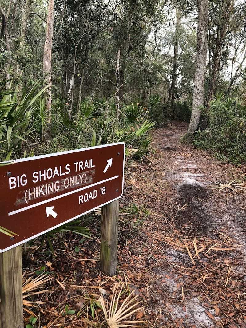 Florida Scenic Trail at Big Shoals State Park